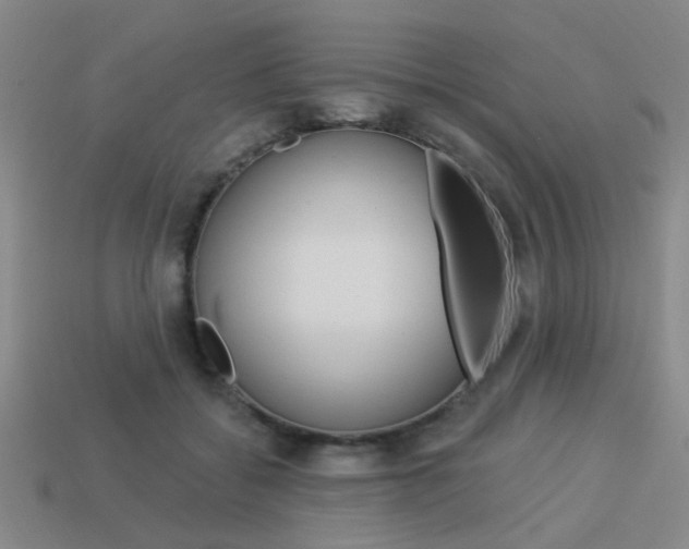 X0000113980556200910020951