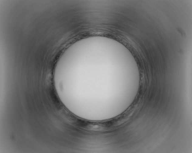 X0000113980557200910020951