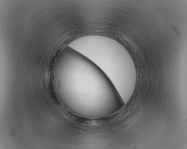 X0000113980558200910020951