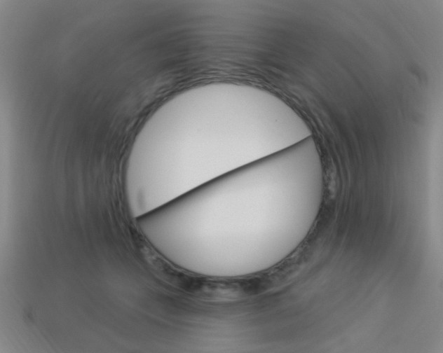 X0000113980559200910020951