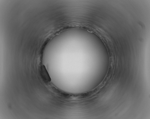 X0000113980560200910020951