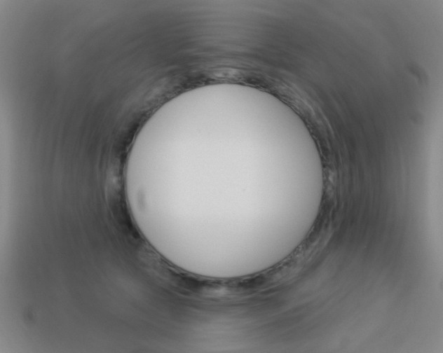 X0000113980561200910020951