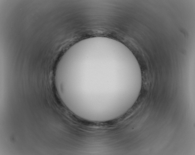 X0000113980563200910020951