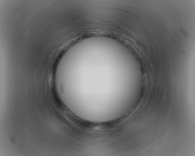 X0000113980564200910020951