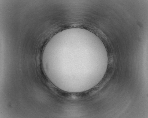 X0000113980565200910020951