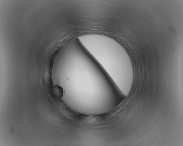 X0000113980566200910020951