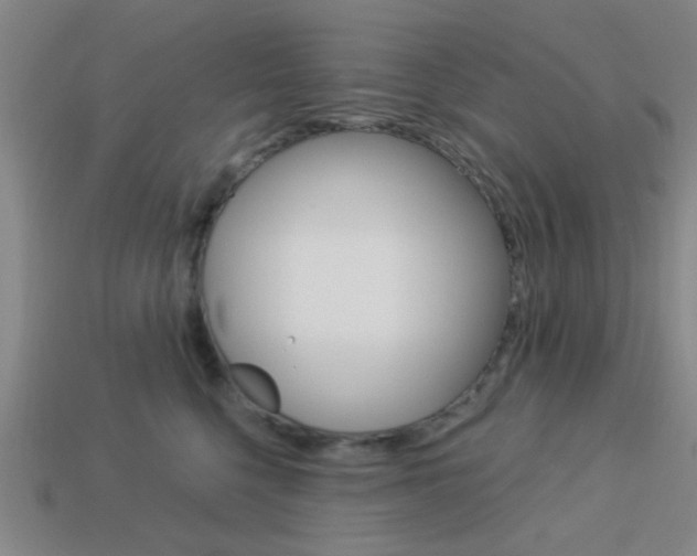 X0000113980568200910020951