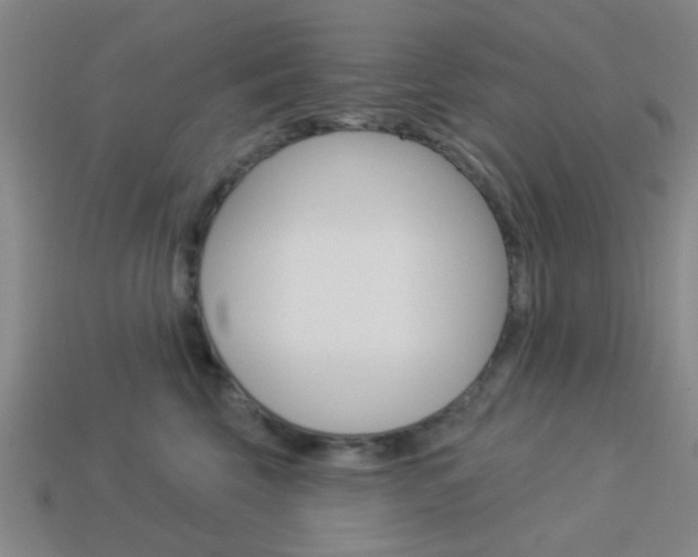 X0000113980569200910020951