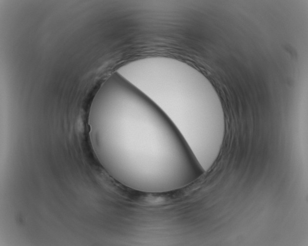 X0000113980570200910020951