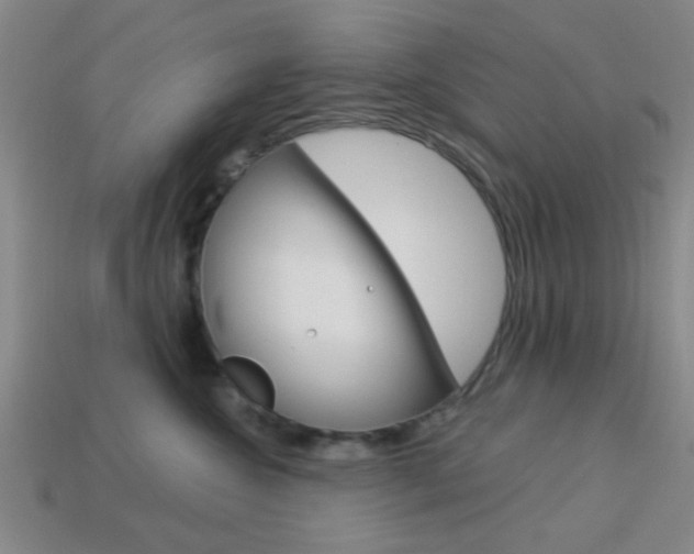 X0000113980572200910020951