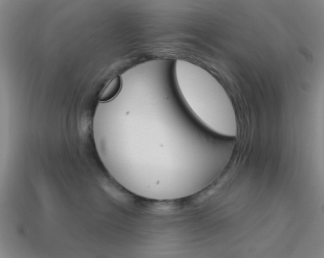 X0000113980574200910020951