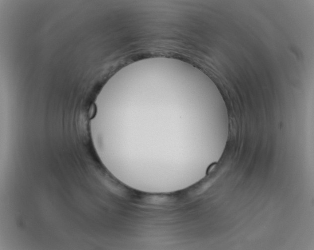X0000113980575200910020951