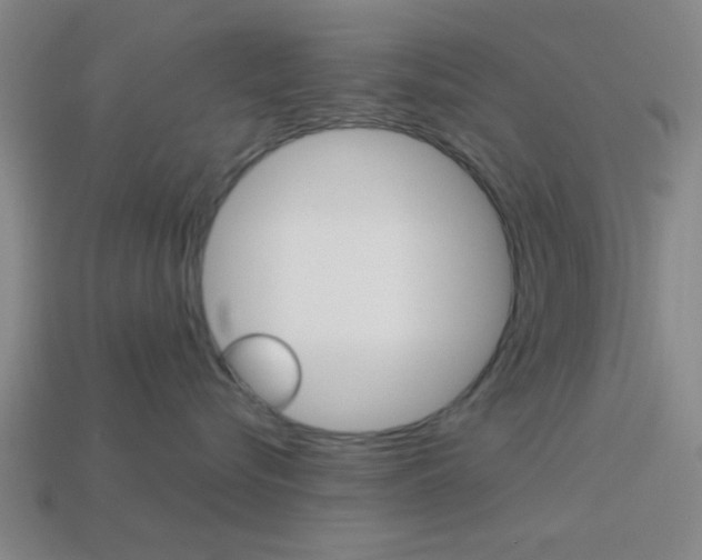 X0000113980576200910020951