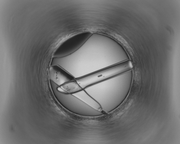 X0000113980577200910020951