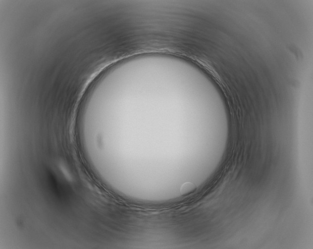 X0000113980579200910020951