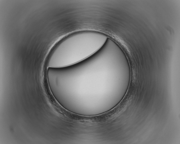 X0000113980580200910020951