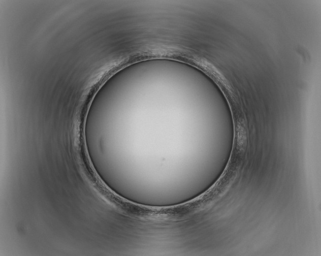 X0000113980581200910020951