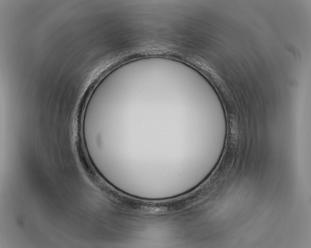X0000113980582200910020951