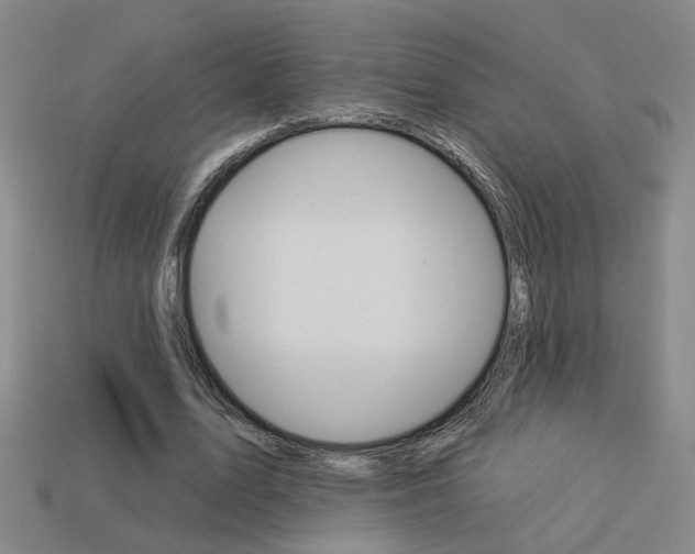 X0000113980583200910020951