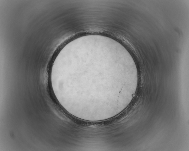X0000113980584200910020950