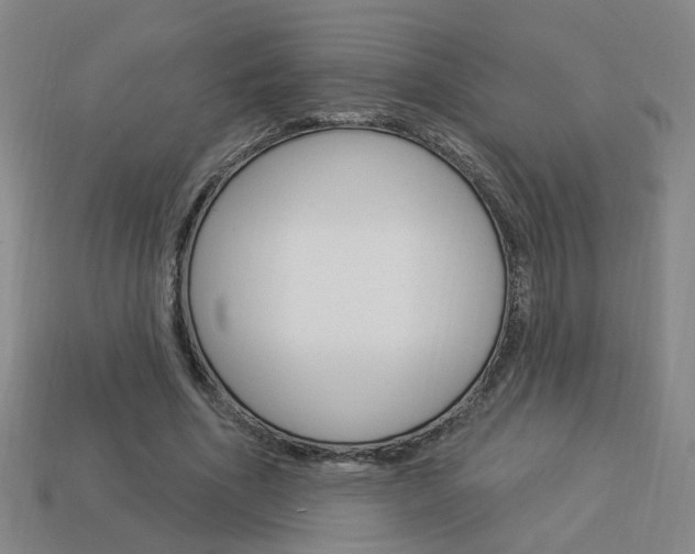 X0000113980586200910020950