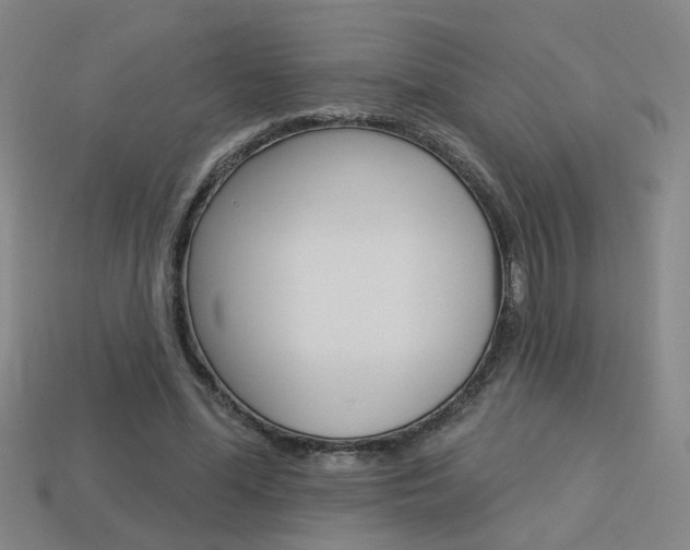 X0000113980588200910020950
