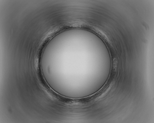 X0000113980589200910020950