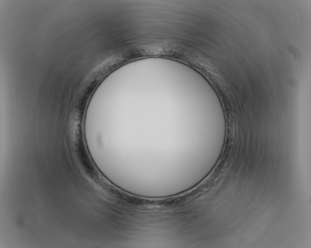 X0000113980590200910020950