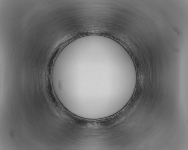 X0000113980591200910020950