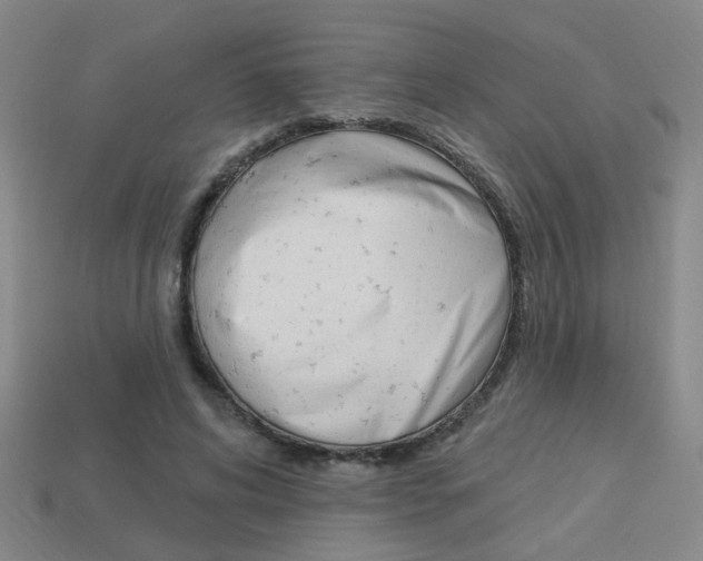 X0000113980592200910020950