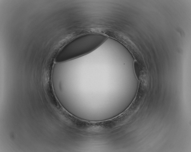 X0000113980593200910020950