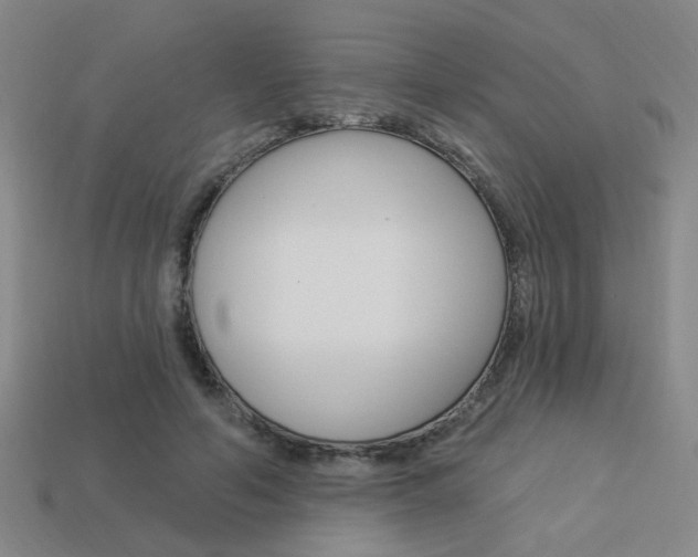 X0000113980594200910020950
