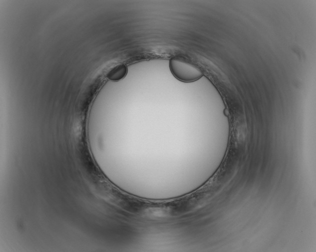 X0000113980595200910020950