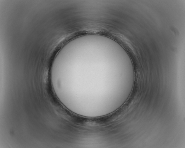 X0000113980596200910020950