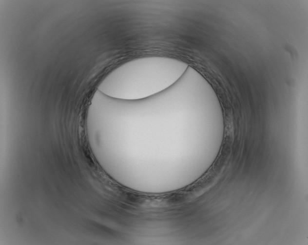 X0000113980599200910020950