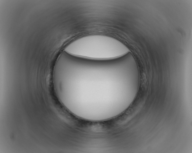 X0000113980600200910020950