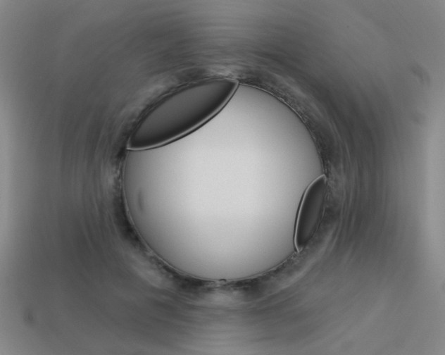 X0000113980601200910020950