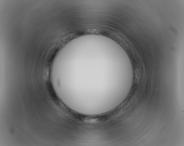 X0000113980602200910020950