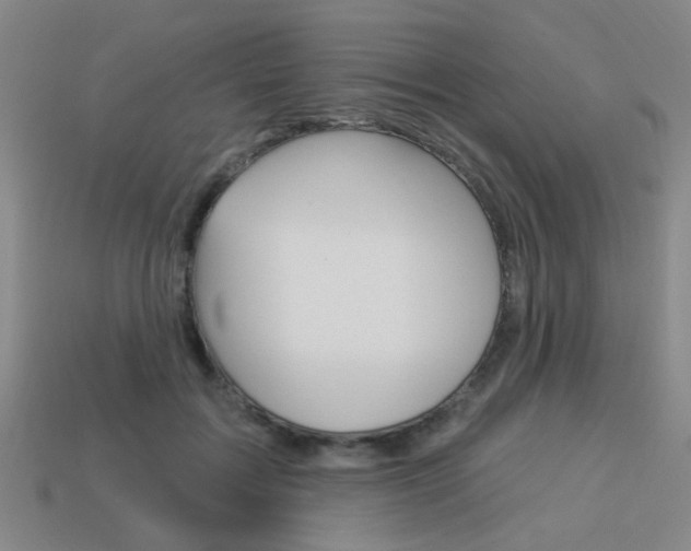 X0000113980603200910020950