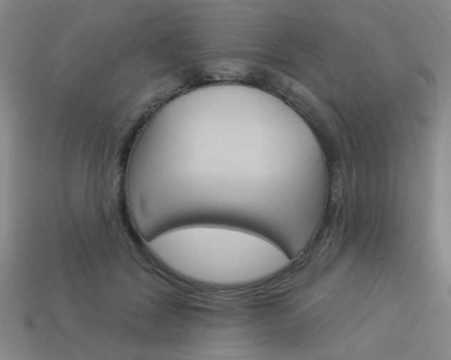 X0000113980604200910020950