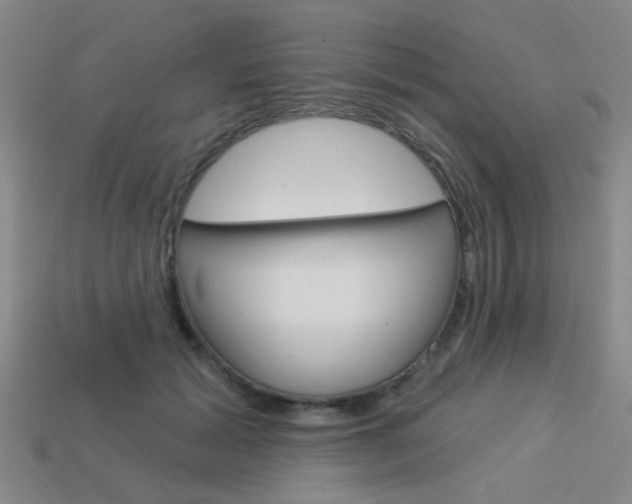 X0000113980605200910020950