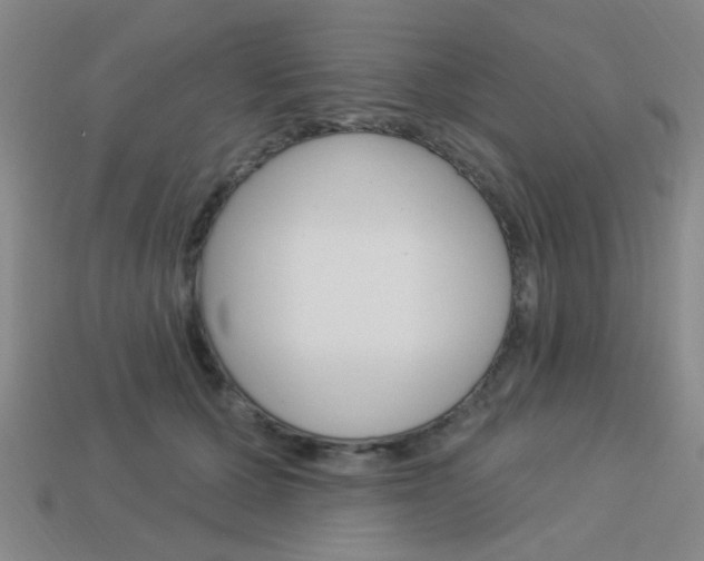 X0000113980607200910020950
