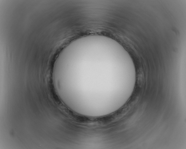 X0000113980608200910020950