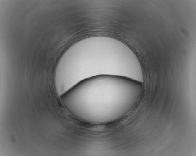 X0000113980609200910020950