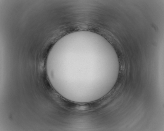 X0000113980610200910020950