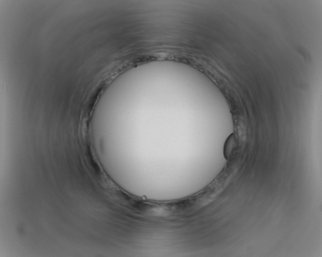 X0000113980611200910020950