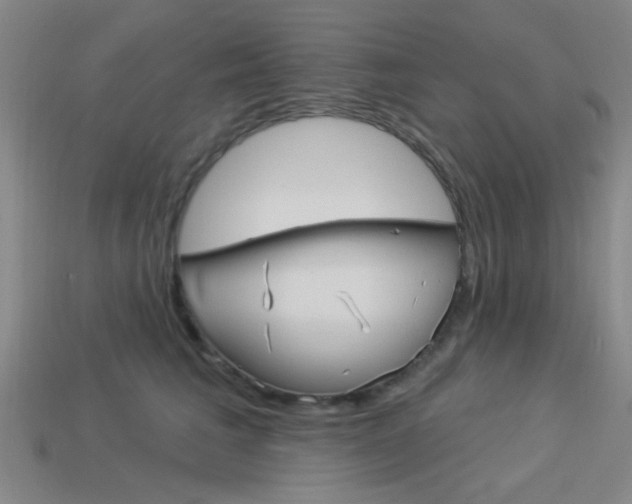 X0000113980613200910020950