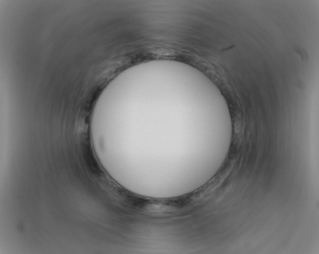X0000113980614200910020950