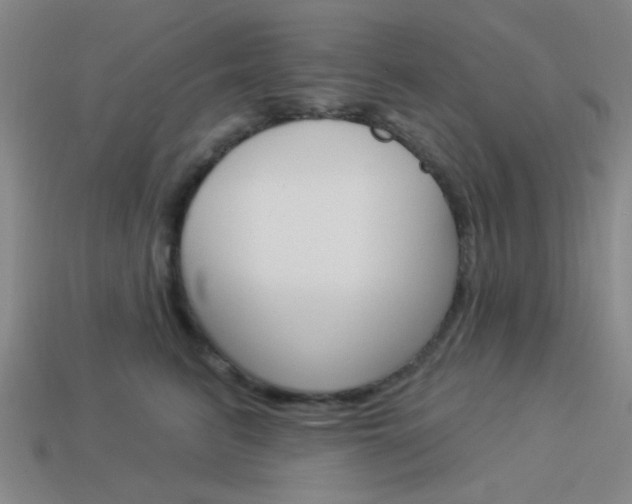 X0000113980615200910020950