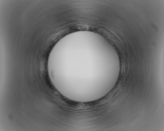 X0000113980616200910020950